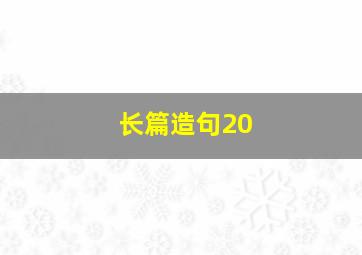 长篇造句20