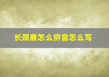 长颈鹿怎么拼音怎么写