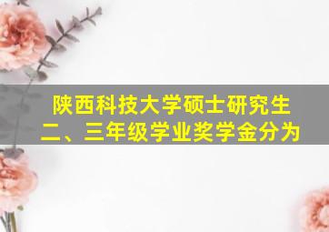 陕西科技大学硕士研究生二、三年级学业奖学金分为