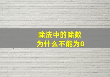 除法中的除数为什么不能为0