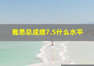 雅思总成绩7.5什么水平