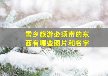 雪乡旅游必须带的东西有哪些图片和名字