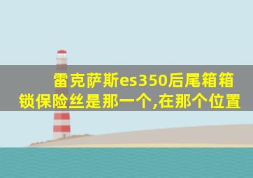 雷克萨斯es350后尾箱箱锁保险丝是那一个,在那个位置