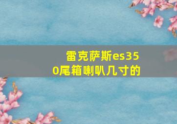 雷克萨斯es350尾箱喇叭几寸的