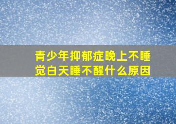 青少年抑郁症晚上不睡觉白天睡不醒什么原因