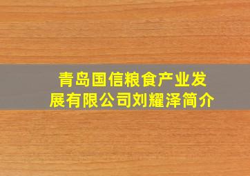 青岛国信粮食产业发展有限公司刘耀泽简介