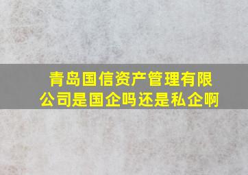 青岛国信资产管理有限公司是国企吗还是私企啊