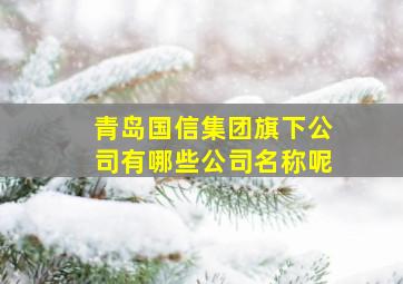 青岛国信集团旗下公司有哪些公司名称呢