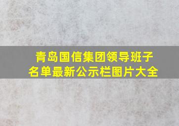 青岛国信集团领导班子名单最新公示栏图片大全