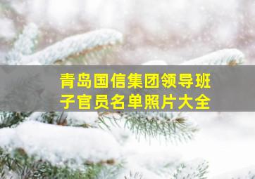 青岛国信集团领导班子官员名单照片大全