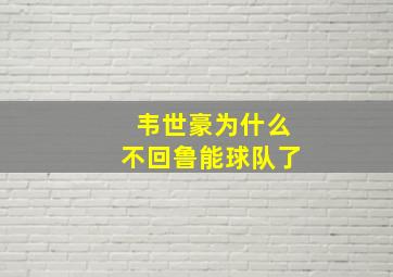 韦世豪为什么不回鲁能球队了