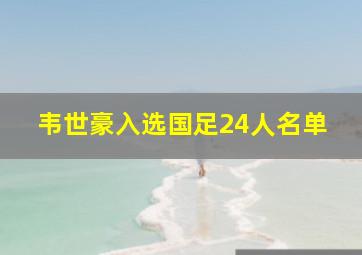 韦世豪入选国足24人名单