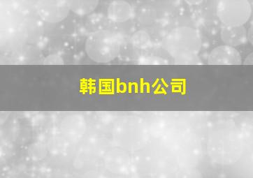 韩国bnh公司