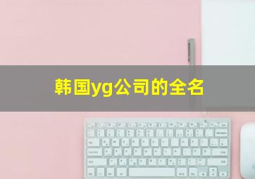 韩国yg公司的全名