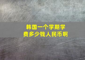 韩国一个学期学费多少钱人民币啊