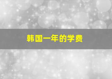 韩国一年的学费