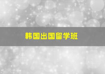 韩国出国留学班