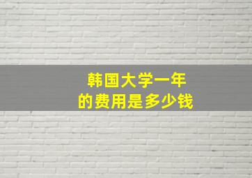 韩国大学一年的费用是多少钱