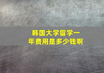 韩国大学留学一年费用是多少钱啊