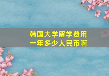 韩国大学留学费用一年多少人民币啊