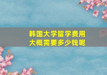 韩国大学留学费用大概需要多少钱呢