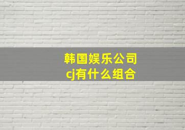 韩国娱乐公司cj有什么组合