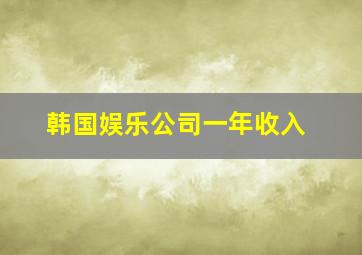 韩国娱乐公司一年收入