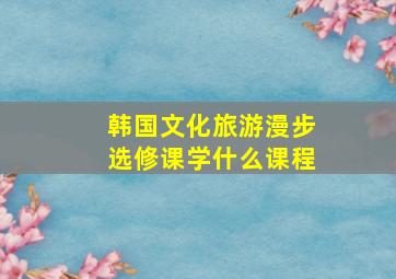 韩国文化旅游漫步选修课学什么课程