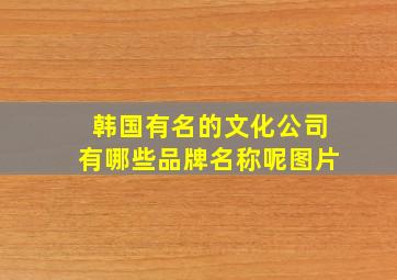 韩国有名的文化公司有哪些品牌名称呢图片