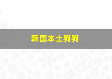 韩国本土狗狗