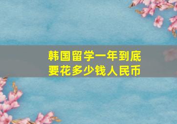 韩国留学一年到底要花多少钱人民币