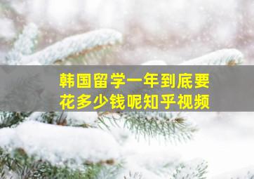 韩国留学一年到底要花多少钱呢知乎视频