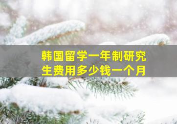 韩国留学一年制研究生费用多少钱一个月