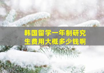 韩国留学一年制研究生费用大概多少钱啊