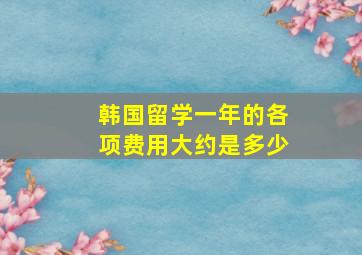 韩国留学一年的各项费用大约是多少