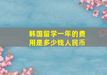 韩国留学一年的费用是多少钱人民币