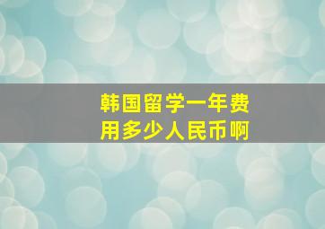 韩国留学一年费用多少人民币啊