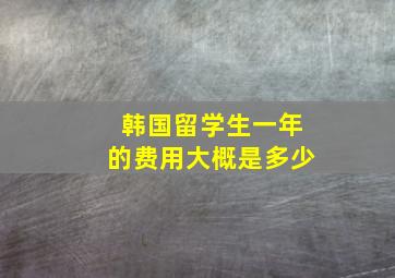 韩国留学生一年的费用大概是多少