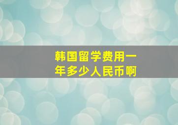 韩国留学费用一年多少人民币啊