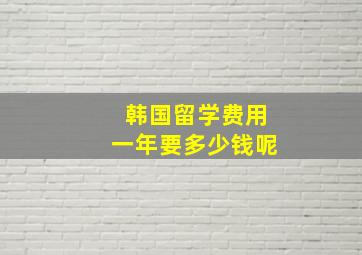 韩国留学费用一年要多少钱呢