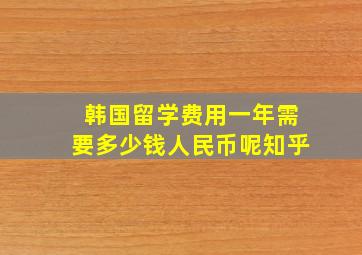 韩国留学费用一年需要多少钱人民币呢知乎