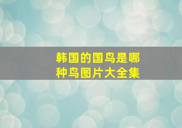 韩国的国鸟是哪种鸟图片大全集