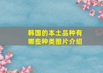 韩国的本土品种有哪些种类图片介绍