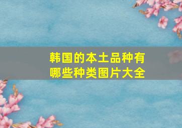 韩国的本土品种有哪些种类图片大全