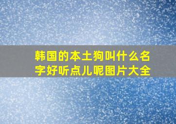 韩国的本土狗叫什么名字好听点儿呢图片大全