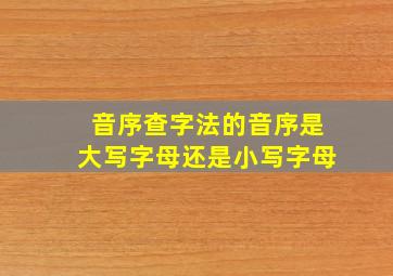 音序查字法的音序是大写字母还是小写字母