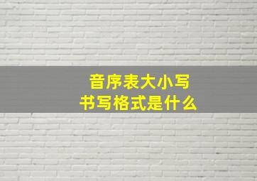 音序表大小写书写格式是什么