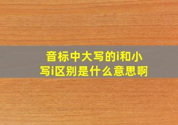 音标中大写的i和小写i区别是什么意思啊