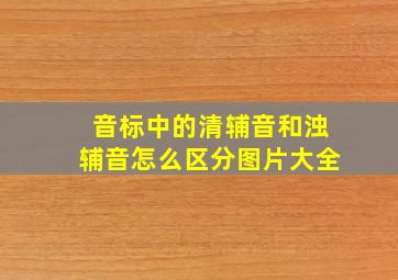 音标中的清辅音和浊辅音怎么区分图片大全