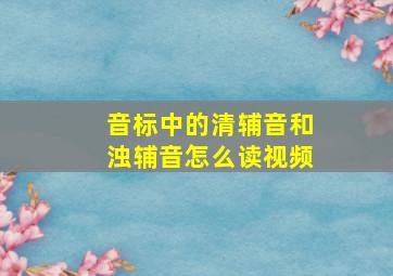 音标中的清辅音和浊辅音怎么读视频